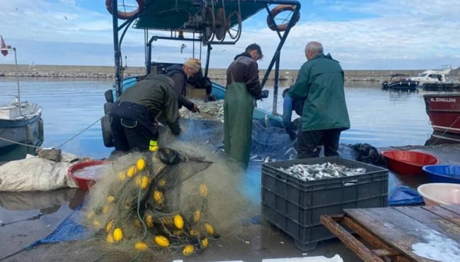 Halkımız Bu Sene Lüfere Doyacak...