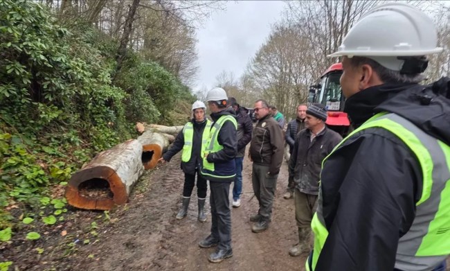 KANDİLLİ VE ORMANLI'DA KAPSAMLI İNCELEME