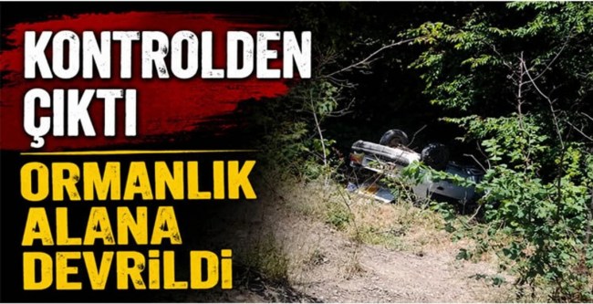 KONTROLDEN ÇIKTI, ORMANLIK ALANA DEVRİLDİ