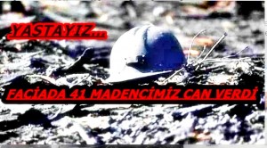 41 can, 41 acı, 41 hikaye...
