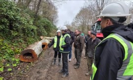 KANDİLLİ VE ORMANLIDA KAPSAMLI İNCELEME