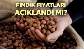 FINDIK ÜRETİCİSİNİN BEKLEDİĞİ RAKAMLAR BELLİ OLDU