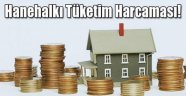 Bütcemizden en fazla payı konut ve kira harcamasına ayırıyoruz